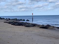 First sighting of seals on the beach between Winterton and Horsey
